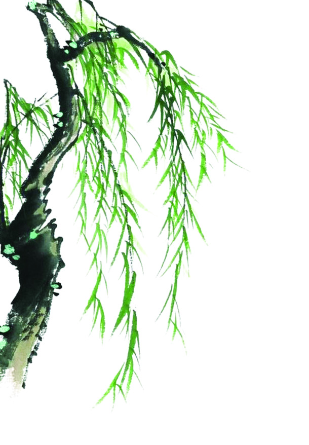 中国风水墨柳树PNG透明图，端午节日元素，高清设计素材下载