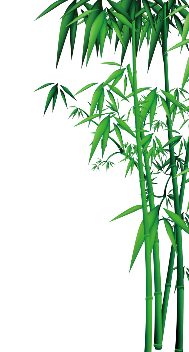卡通竹子PNG透明图，高清装饰元素，植物设计素材下载