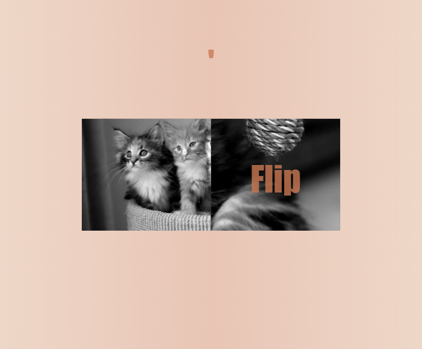 猫咪动画素材，简单实用的css翻转动画
