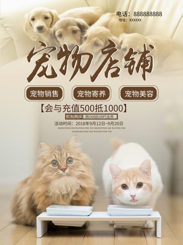 宠物店铺创意海报，高清PNG透明背景图片素材下载