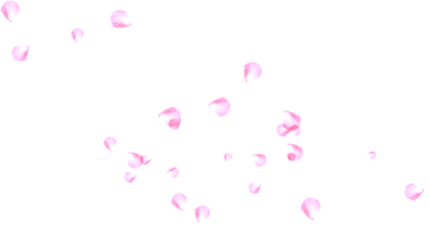 漂浮花瓣PNG透明图，高清元素，丰富设计素材免费下载