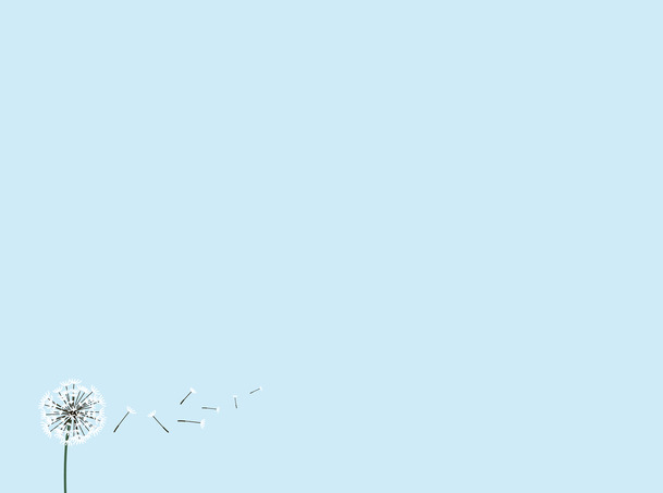 高清蓝色蒲公英PNG，透明背景元素及设计素材免费下载