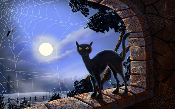 万圣节黑猫恐怖元素，高清PNG透明背景图片，节日设计素材下载