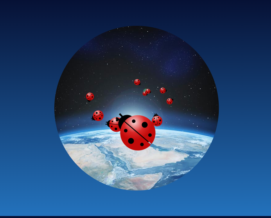 瓢虫动画图片，炫酷的html太空瓢虫动画效果代码模板