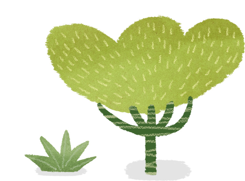 手绘小清新植物PNG素材，高清透明、卡通手绘元素，免费下载
