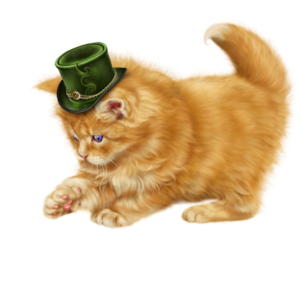 可爱猫咪PNG透明图，动植物元素，高清设计素材下载