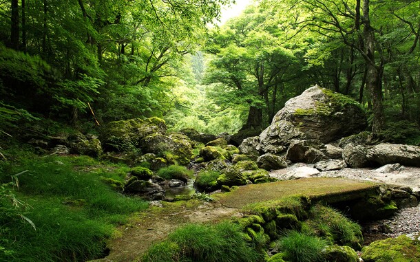 绿色森林山水美景，高清PNG透明背景摄影图片，设计素材下载