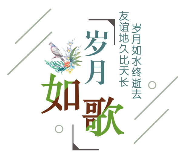 岁月如歌友谊长存，精美PNG透明图片素材，字体元素丰富，免费下载