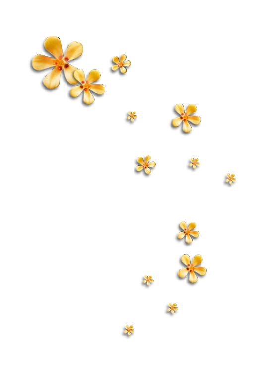 小黄花高清PNG透明图片，漂浮花瓣设计素材，免费下载