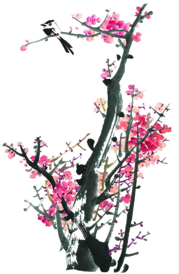 水墨梅花PNG透明图片，高清装饰元素，墨迹笔触设计素材下载