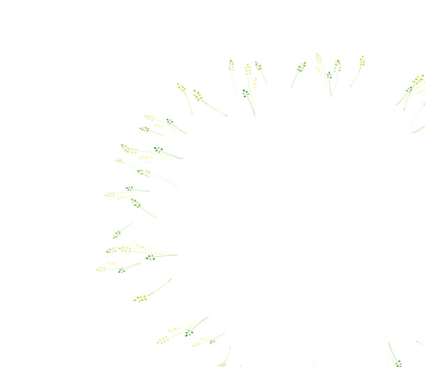高清PNG彩色绿色植物花环透明图片素材，漂浮元素及其他设计下载