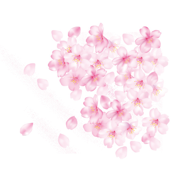 高清PNG桃花花瓣矢量图，透明漂浮元素，设计素材下载