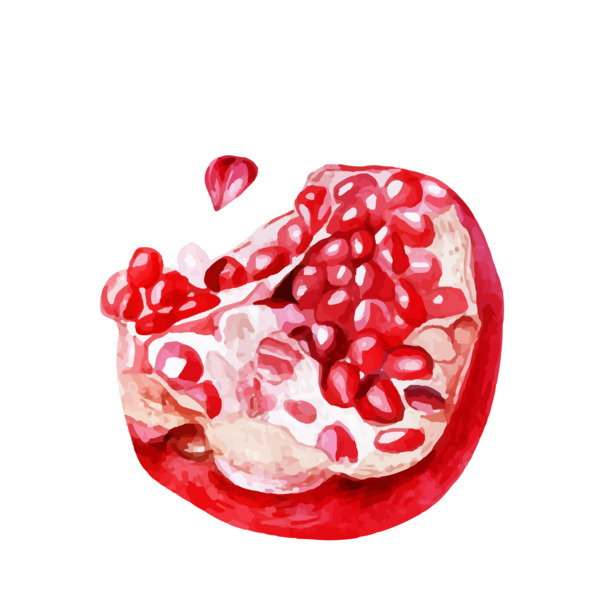 手绘红色石榴矢量图，高清PNG透明版，含漂浮花瓣元素，设计素材下载