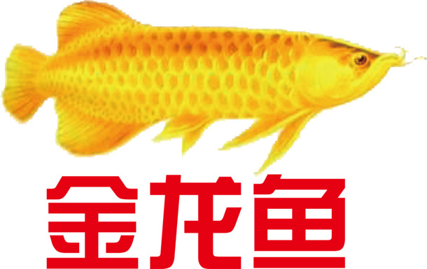 金龙鱼农产品LOGO，高清PNG透明免抠素材，一键下载设计元素