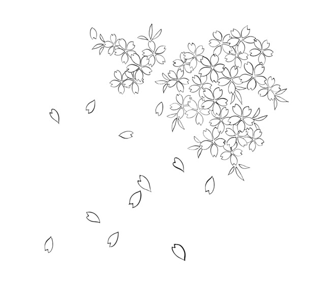 樱花流水透明PNG，高清漂浮花瓣图片素材下载