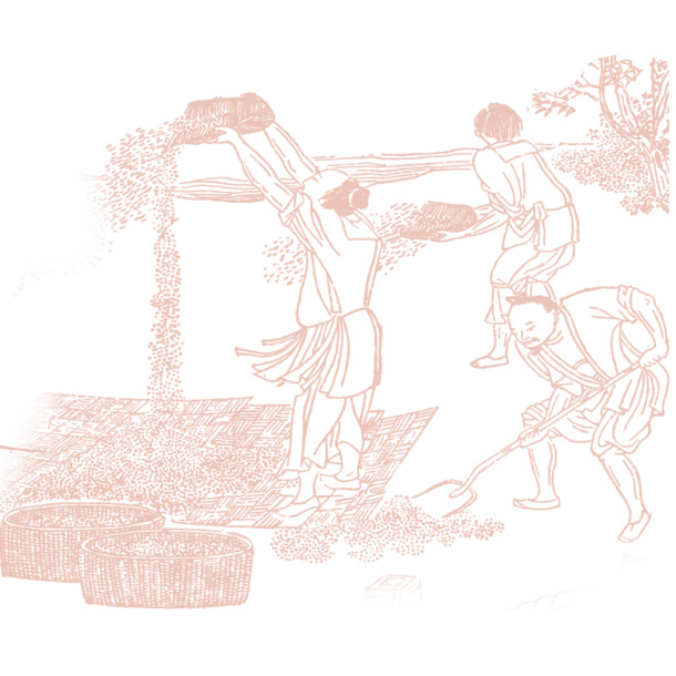 农作物丰收盛景PNG素材，高清透明手绘卡通背景图片，免费下载