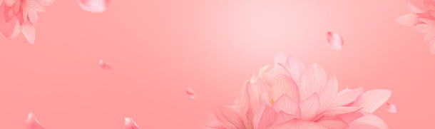 唯美粉色花朵PNG透明背景，高清banner海报设计素材免费下载