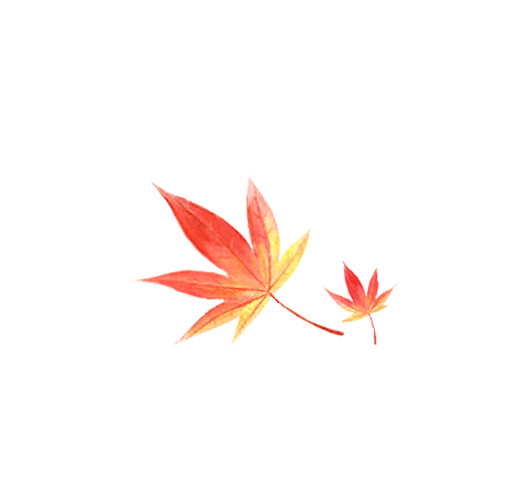 枫叶PNG透明高清图，漂浮元素叶子设计素材下载