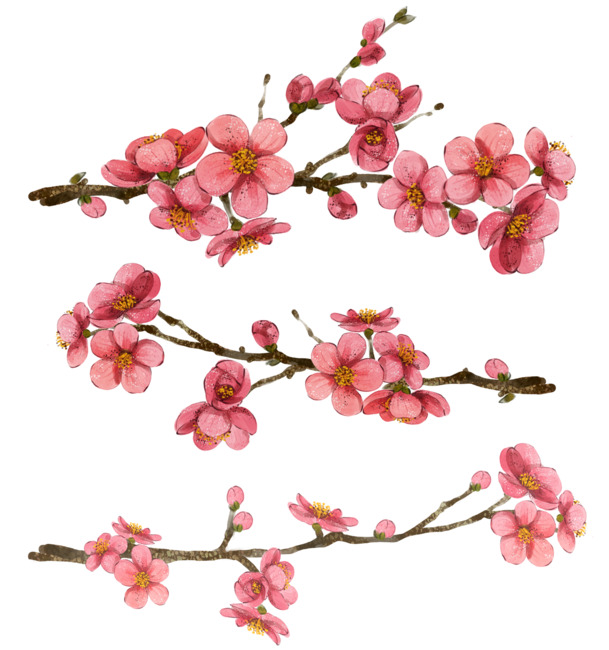 手绘水彩粉嫩桃花枝PNG透明图，动植物元素丰富，设计素材免费下载