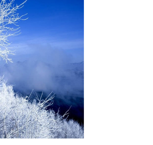 冬季雪景PNG透明图片，个人主页高清背景，节日设计素材免费下载
