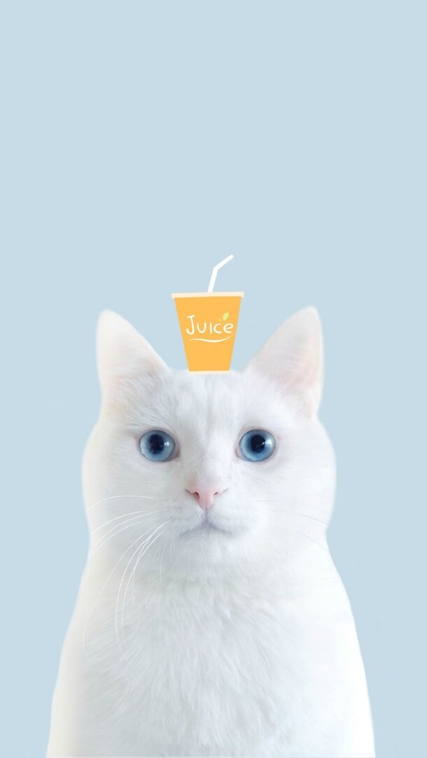 高清白色小猫果汁PNG，透明背景H5设计素材，免费下载