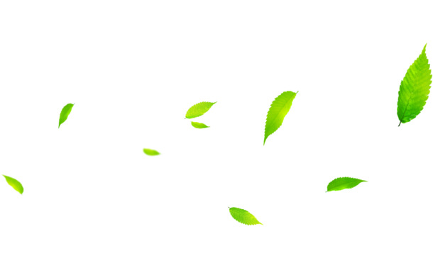 免费下载高清PNG透明漂浮绿叶素材，设计创意无拘无束