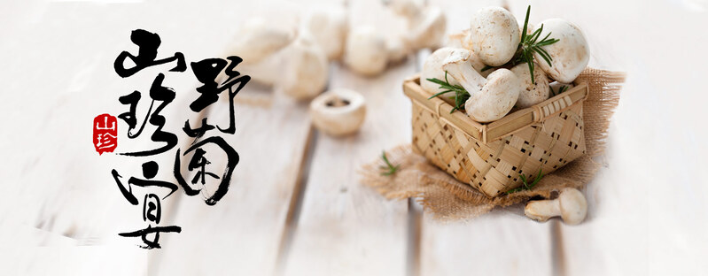 野生菌菇山珍宴，高清背景JPG图片素材，独特设计下载
