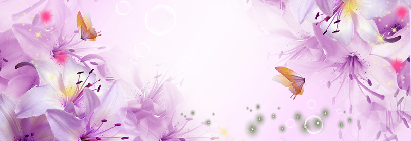 唯美紫色百合花背景Banner，高清JPG及PSD设计素材下载