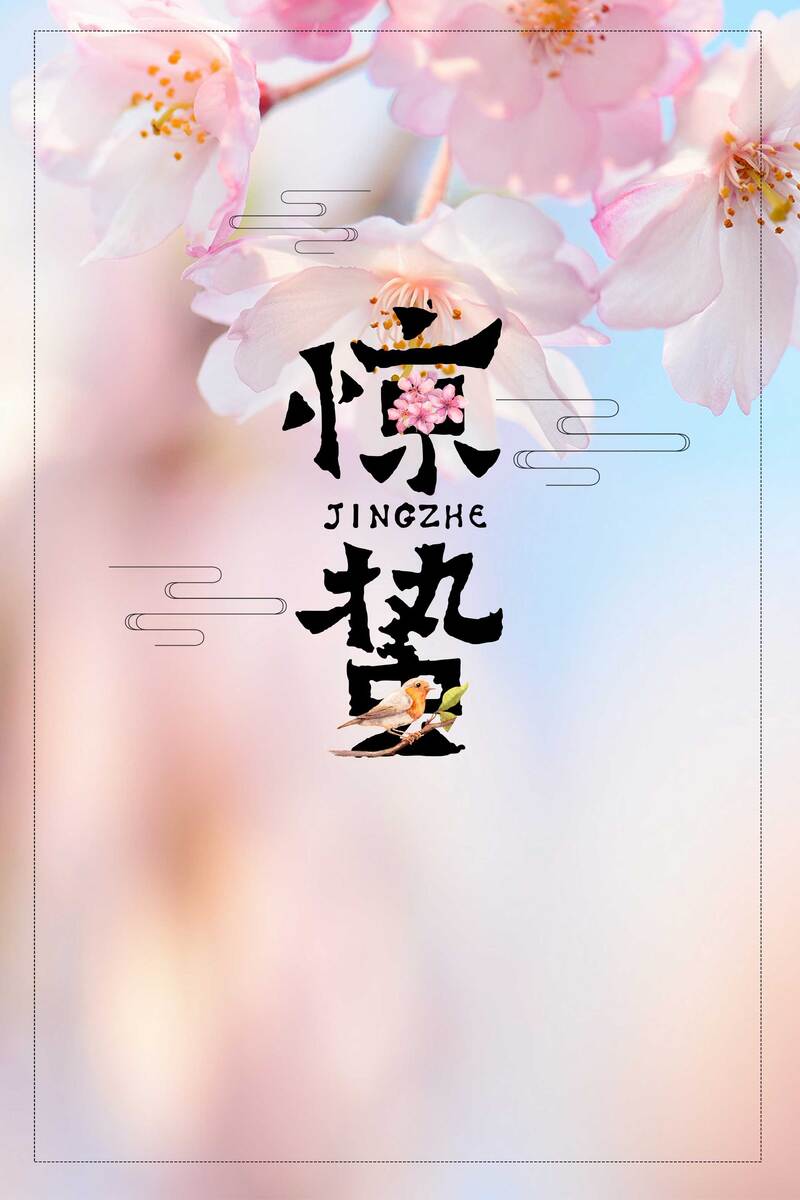 惊蛰节气粉色梅花背景图片，高清JPG与PSD设计素材下载