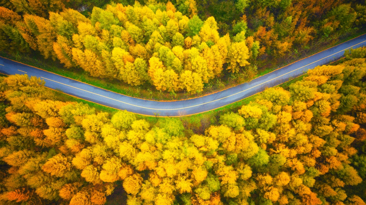 绝美4K高清壁纸，俯瞰秋日公路风景，3840x2160电脑桌面必备