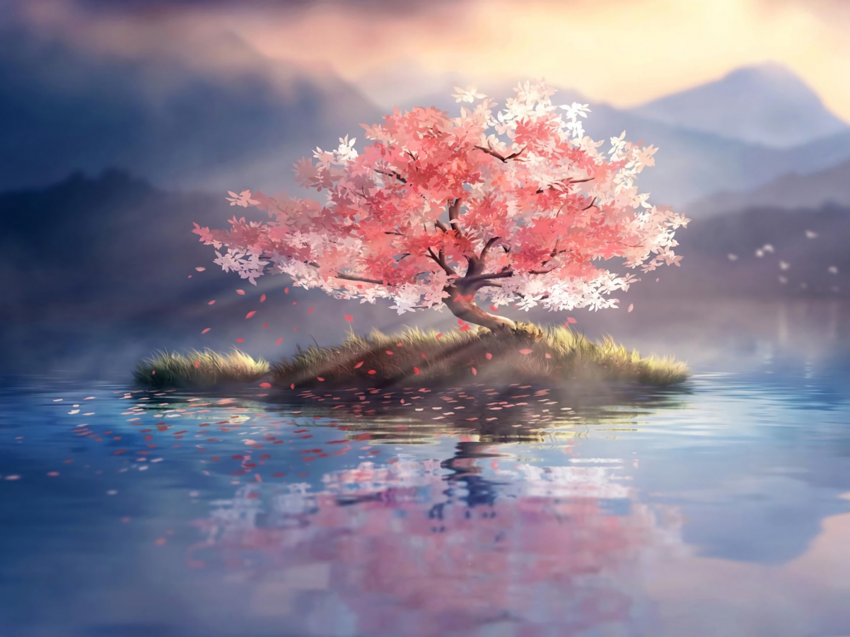唯美孤独树影，红叶映湖，落叶成诗，高清平板壁纸2732x2048免费下载