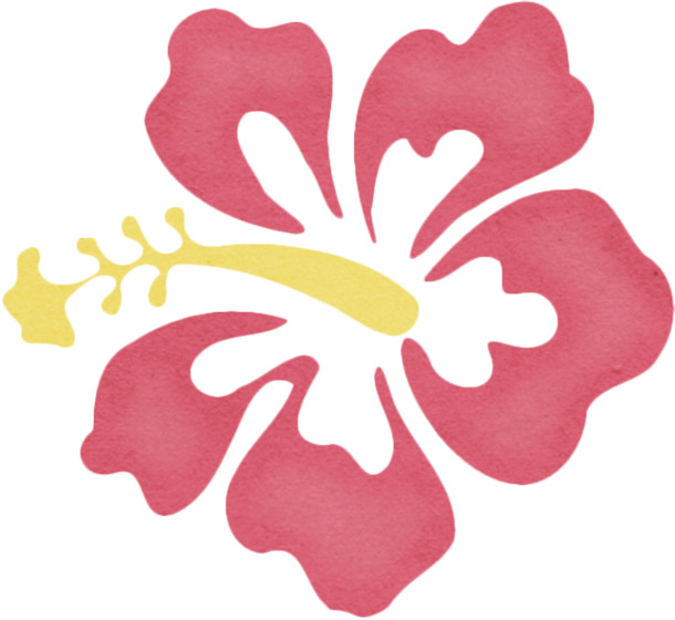 手绘花瓣PNG透明图，高清漂浮元素，设计素材下载