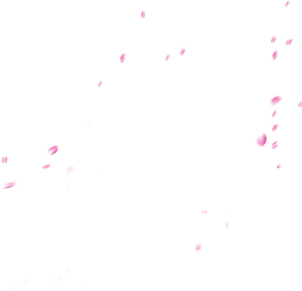 粉色落叶背景PNG，高清透明，花瓣漂浮元素，创意图片素材下载