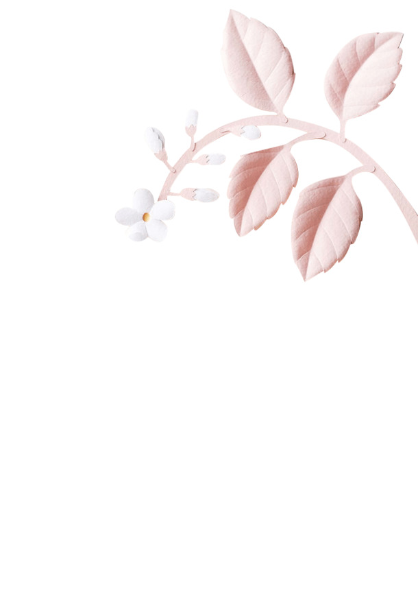 粉色叶片PNG透明素材，高清漂浮花瓣元素，设计必备下载