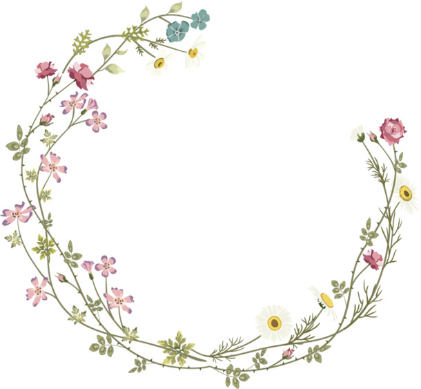 花枝环形边框PNG透明图，高清装饰元素，设计素材免费下载