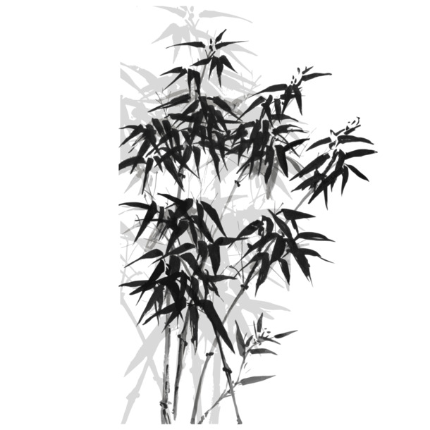 中国风水墨竹矢量图，高清PNG透明免抠，装饰元素丰富，支持AI格式下载