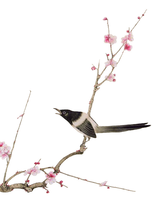 生物燕子花枝高清PNG透明图片，精美植物装饰元素，设计素材免费下载
