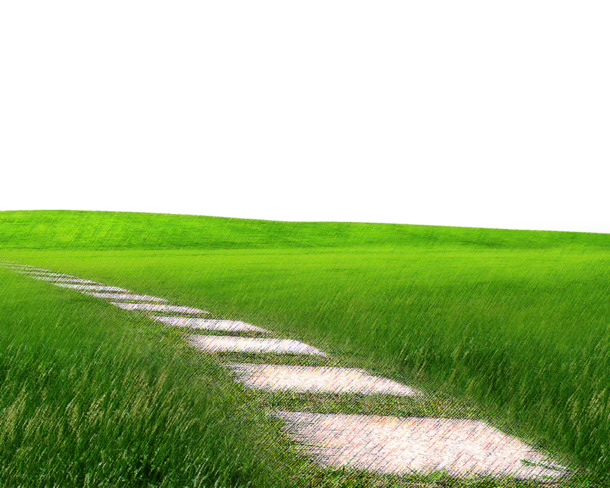 草地PNG透明图，高清植物装饰元素，PSD设计素材免费下载