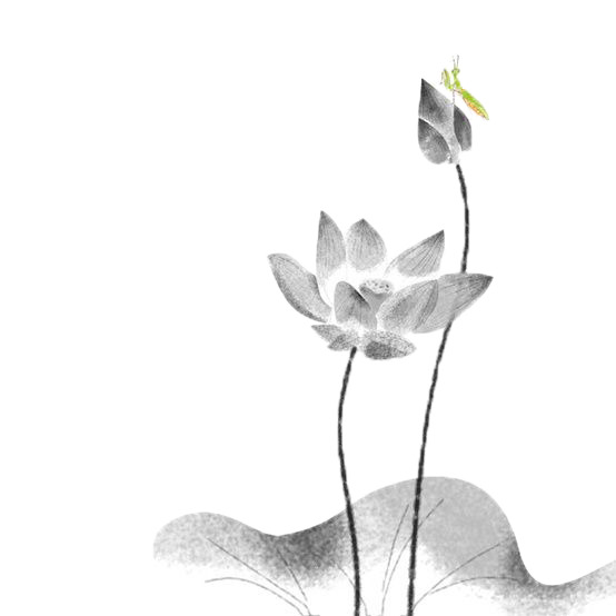 水墨荷花PNG透明图，中国风装饰元素，高清下载