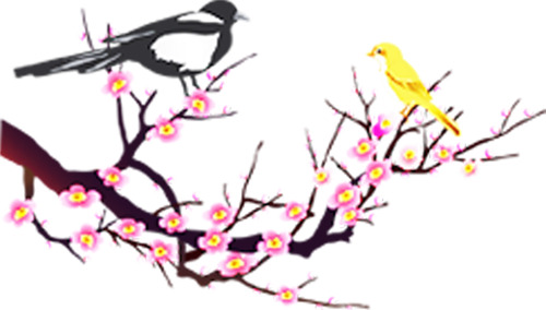 七夕喜鹊梅花PNG透明图，高清节日元素，情人节设计素材下载