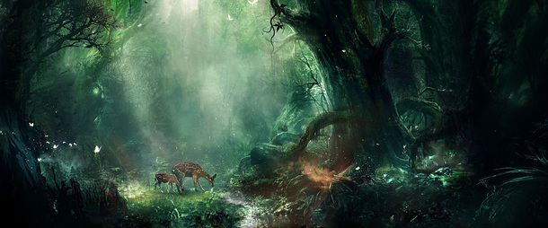 森林秘境素材，高清PNG透明背景，创意Banner海报设计元素免费下载
