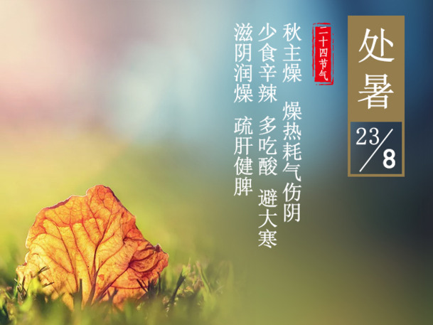24节气处暑养生PNG透明背景图片，高清场景设计素材下载