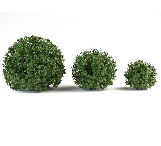 高清绿色草丛PNG素材，动植物元素透明图片，免费下载设计资源