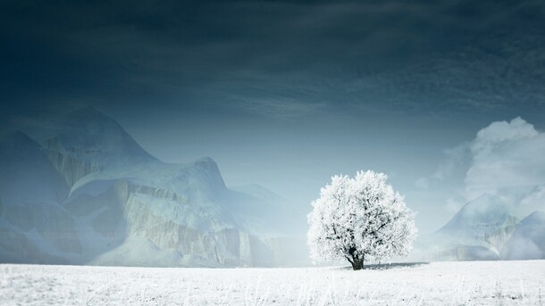 下雪树木结冰美景，高清PNG透明背景壁纸及摄影风景素材下载