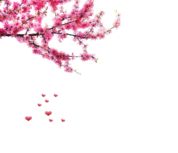 桃花PNG透明图片，高清漂浮花瓣PSD设计素材下载