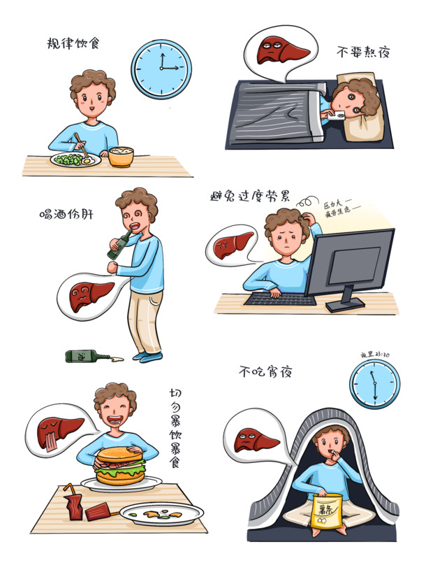 肝脏保健饮食指南，高清PNG手绘卡通透明图片素材下载