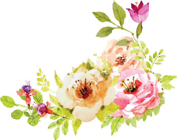情人节花卉油画PNG素材，高清透明图片，节日设计元素下载