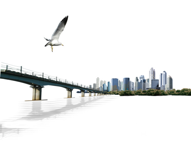 跨海大桥海鸥飞翔美景，高清PNG透明背景图片，城市风景设计素材下载