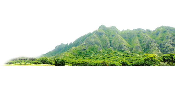 青山大山装饰图案，高清PNG透明动植物元素，植物图片设计素材下载