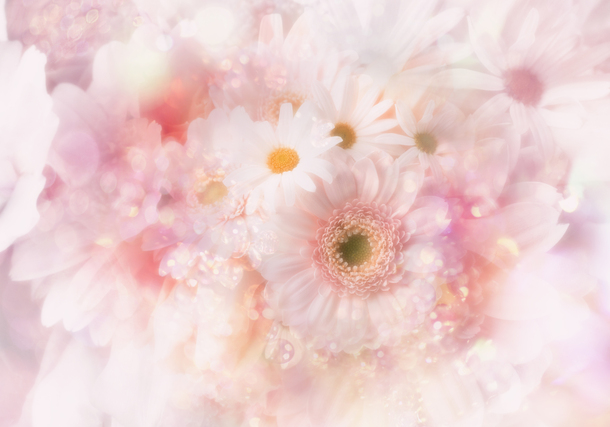 唯美梦幻鲜花PNG透明背景图，高清底纹设计素材下载
